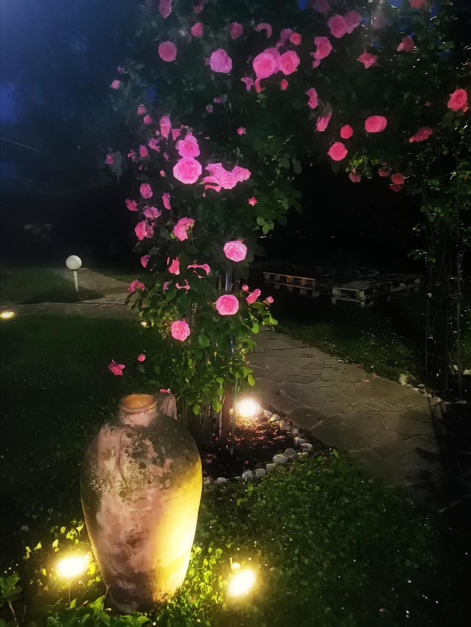Acquachiara Iseo Deluxe Bed & Breakfast Iseo Center With Garden And Parking Inside Foresteria Szoba fotó